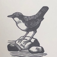 Dipper, wood engraving by Marie Hartley
